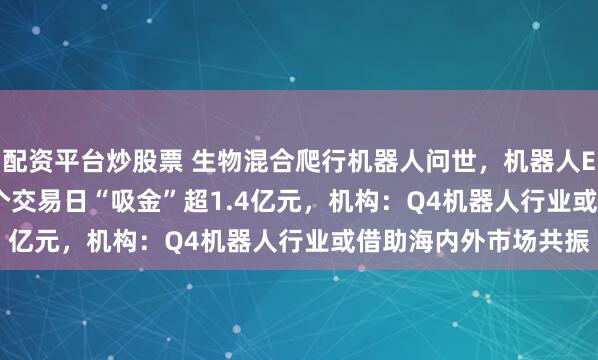 配资平台炒股票 生物混合爬行机器人问世，机器人ETF（159770）近3个交易日“吸金”超1.4亿元，机构：Q4机器人行业或借助海内外市场共振