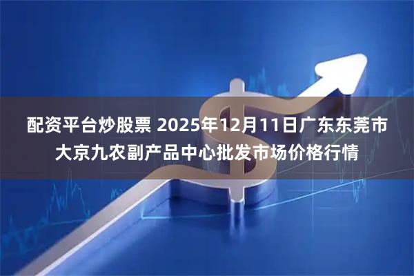 配资平台炒股票 2025年12月11日广东东莞市大京九农副产品中心批发市场价格行情