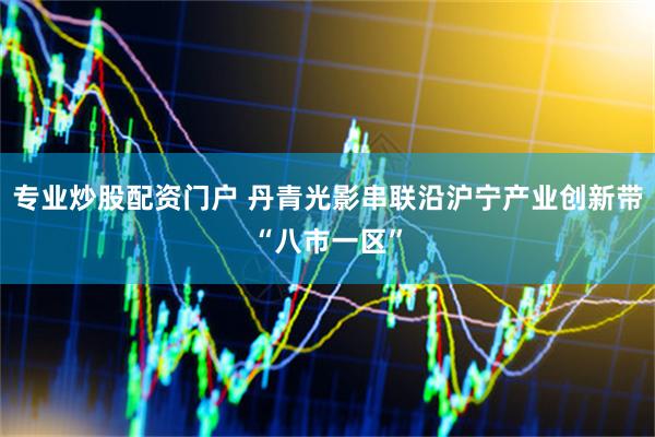 专业炒股配资门户 丹青光影串联沿沪宁产业创新带“八市一区”